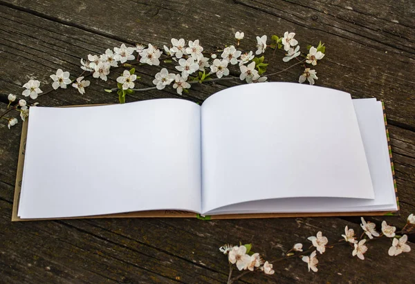 an open notebook with white blank pages lies on old wooden boards next to flowering tree twigs