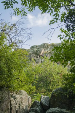 Güney Bug Nehri Kanyonu, Ukrayna 'nın güneyinde granit taşlar ve kayalarla kaplı..