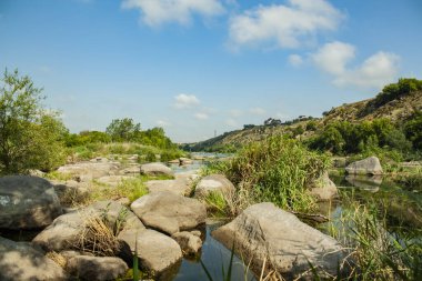 Güney Böcek nehri üzerinde granit taşlar, Mykolaiv bölgesi, Ukrayna.