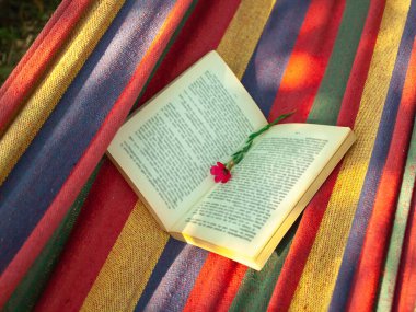 Çizgili bir hamakta açık bir kitap yatıyor, bir kitabın sayfalarında küçük kırmızı bir çiçek yatıyor.