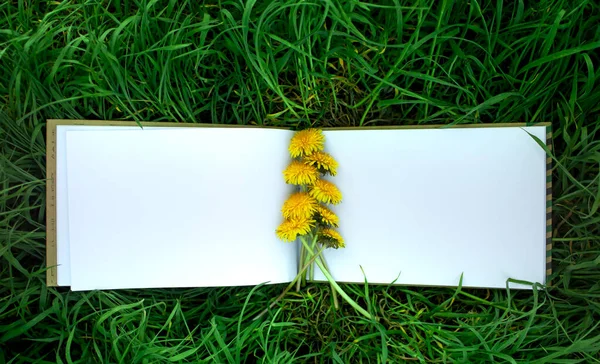 Open Notebook Lies Grass Yellow Dandelions Lie Notebook Template Text — Stock Photo, Image