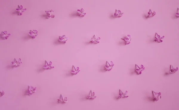 Patrón Pequeñas Flores Púrpuras Lila Flores Pequeñas Sobre Fondo Rosado — Foto de Stock