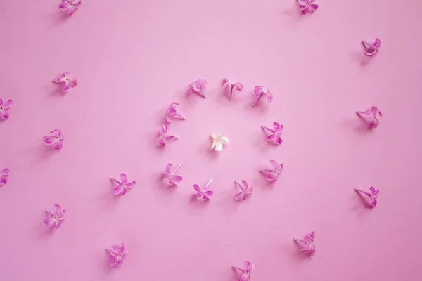 Círculo Flores Color Púrpura Dentro Del Cual Hay Una Flor — Foto de Stock
