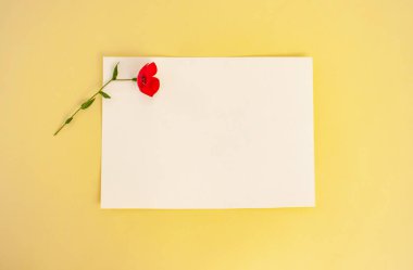 Beyaz boş bir sayfa ve sarı arka planda kırmızı bir çiçek..