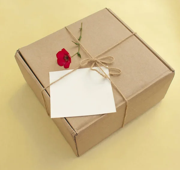 Postal Cardboard Box Tied Rope Box Lies Flower White Blank — Stock Photo, Image