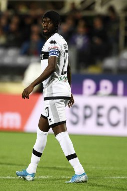 İtalyan Futbol Serisi A Erkekler Şampiyonası Fiorentina Parma 'ya karşı