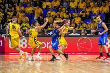 Uluslararası Basketbol Takımları Iberostar Tenerife San Pablo Burgos 'a karşı