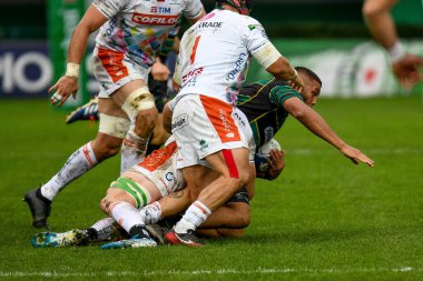 Rugby Heineken Şampiyonlar Kupası Benetton Treviso Northampton Saints 'e karşı