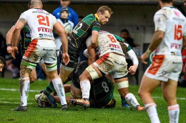 Rugby Heineken Şampiyonlar Kupası Benetton Treviso Northampton Saints 'e karşı