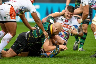 Rugby Heineken Şampiyonlar Kupası Benetton Treviso Northampton Saints 'e karşı