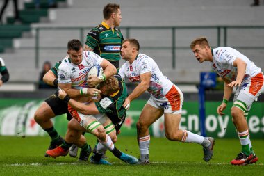 Rugby Heineken Şampiyonlar Kupası Benetton Treviso Northampton Saints 'e karşı