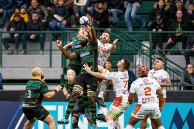 Rugby Heineken Şampiyonlar Kupası Benetton Treviso Northampton Saints 'e karşı