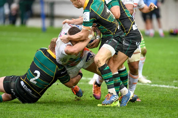 Ράγκμπι Heineken Champions Cup Benetton Treviso εναντίον Αγίων Northampton — Φωτογραφία Αρχείου