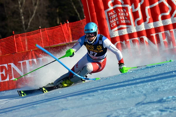 Copa do Mundo de Esqui AUDI FIS 2019 - Combinado Masculino — Fotografia de Stock