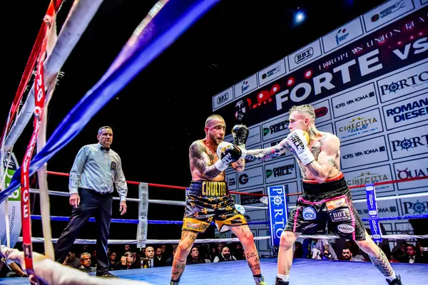 Boxe Forte vs Pardal - Unión Europea Plumas Título — Foto de Stock