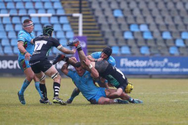 Rugby Kupası Zebre Rugby, Bristol Ayılarına Karşı