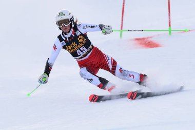 Kayak Dünya Kupası - Paralel Dev Slalom Kadınları