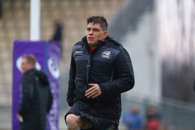 Rugby Kupası Zebre Rugby, Bristol Ayılarına Karşı