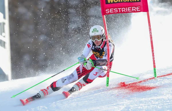 Esquí SKI Copa del Mundo - Paralelo gigante Slalom Mujeres —  Fotos de Stock