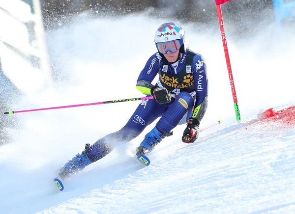 Кубок світу з лижних лиж - Паралельні гігантські слаломні жінки — стокове фото