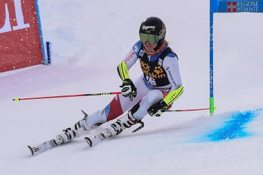 Ski SKY World Cup -  Parallel Giant Slalom Women clipart
