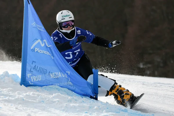 Snowboard Coupe du monde FIS de snowboard - slalom parallèle PSL — Photo