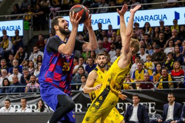 Uluslararası Basketbol Takımları Liga Endesa Acb - Iberostar Tenerife Fc Barcelona 'ya karşı