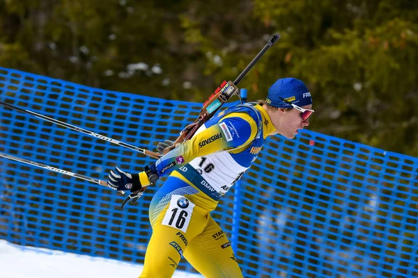 Sebastian Samuelsson Swe Ibu World Championship Biathlon 2020 Men Sprint — Stock Photo, Image