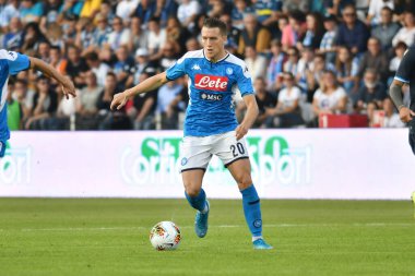 Piotr zielinski (napoli) İtalyan Serie A Futbol sezonu 2019 / 20, İtalya Serie A futbol maçı, Ocak 01 2020 - LPS / Alessio Tarpini