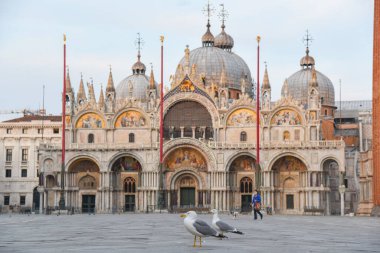 Coronavirus için Venedik Kilit Altında San Marco Meydanı - Covid-19, Venedik Sağlık, 17 Nisan 2020 - LM / Simone Piccirilli