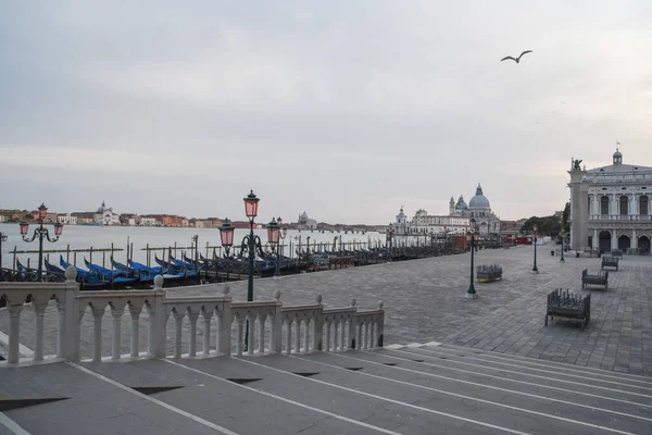 San Marco Square Venice Lockdown Coronavirus Covid Health Venice April — стоковое фото