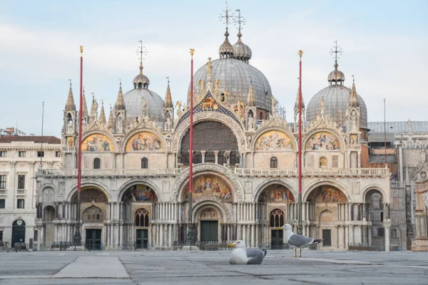 Coronavirus için Venedik Kilit Altında San Marco Meydanı - Covid-19, Venedik Sağlık, 17 Nisan 2020 - LM / Simone Piccirilli