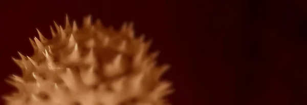 Coronavirus 2019-nCov romanı Coronavirus konsepti Asya gribi salgını ve koronavirüs gribi salgını için sorumludur. Mikroskop virüsü....
