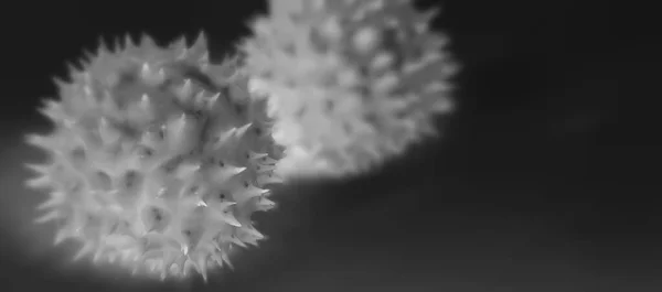 Coronavirus 2019-nCov romanı Coronavirus konsepti Asya gribi salgını ve koronavirüs gribi salgını için sorumludur. Mikroskop virüsü....