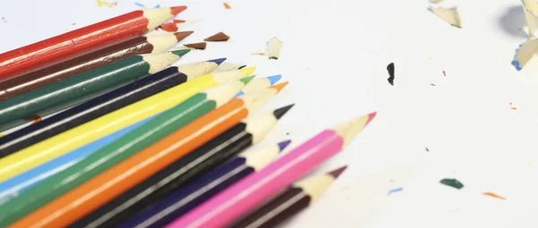 木製の鉛筆コーナーの様々な色純粋な白の背景に表示されます 件名に選択的な焦点を当てたカラフルな鉛筆をソートします — ストック写真