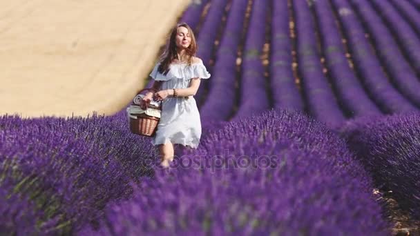 Woman walking through lavender field — Stock Video