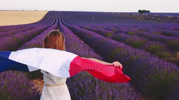 Mujer caminando por el campo de lavanda — Vídeo de stock