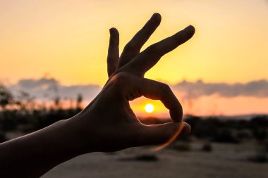 Güzel bir gün batımı.