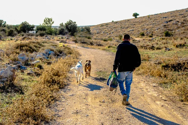 walking out my two loveble dogs