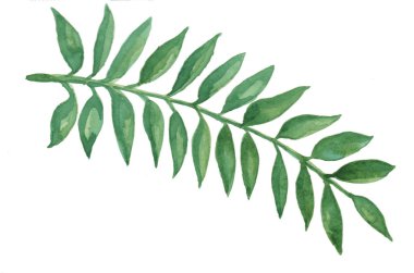 Suluboya resim bırakır