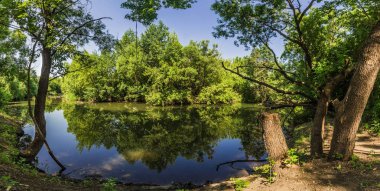 Rus köyündeki kırsal alan. fotoğraf panoraması.