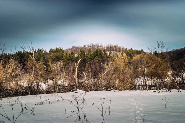 Winterwaldlandschaft Der Schneebedeckten Kälte Russlands — Stockfoto