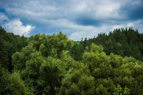 Erdős Tájak Orosz Vadonban Orosz Föderáció — Stock Fotó