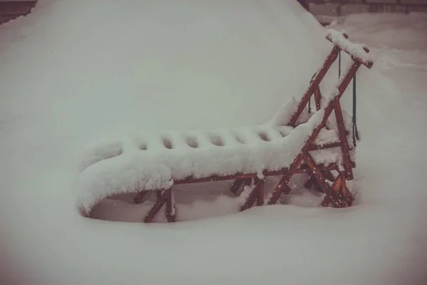 Sleds Sled Dogs Sledges Snow — Stock Photo, Image