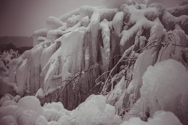 Schöne Gefrorene Eiszapfen Büschen Und Bäumen — Stockfoto