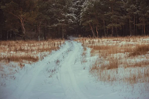 Vinter Landskap Landsbygden Ryssland — Stockfoto