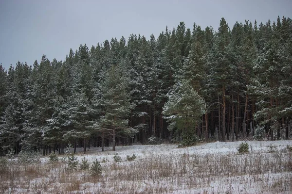 Paisagens Inverno Campo Rússia — Fotografia de Stock