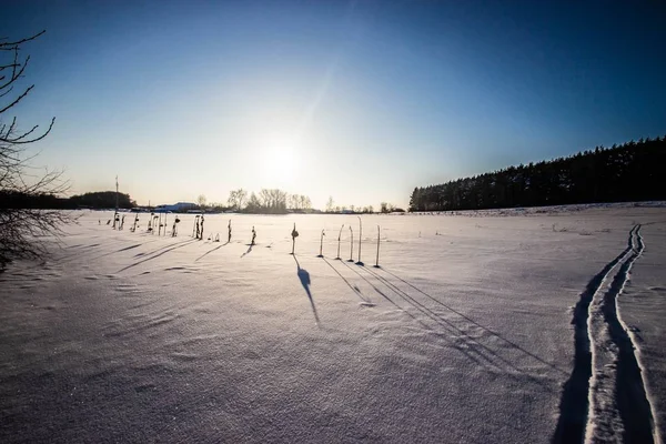 Rusya Nın Kırsal Kesimlerinin Kış Manzaraları — Stok fotoğraf