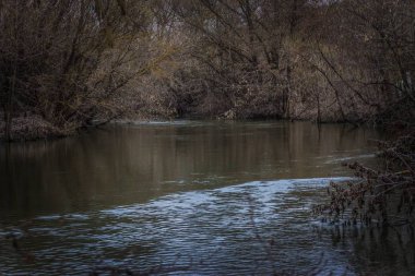 Rusya Federasyonu 'nda Khoper Nehri' nde. Rusya 'da bahar