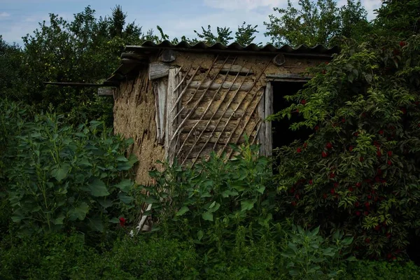 Summer Rural Landscapes Russian Village — Stock Photo, Image